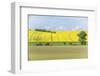 Spring Farm Fields-Rob Tilley-Framed Photographic Print