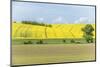 Spring Farm Fields-Rob Tilley-Mounted Photographic Print