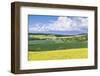 Spring Farm Fields-Rob Tilley-Framed Photographic Print