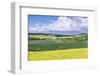 Spring Farm Fields-Rob Tilley-Framed Photographic Print