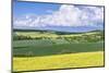 Spring Farm Fields-Rob Tilley-Mounted Photographic Print