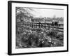 Spring Farming Scene-null-Framed Photographic Print