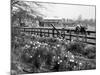 Spring Farming Scene-null-Mounted Photographic Print