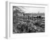 Spring Farming Scene-null-Framed Photographic Print