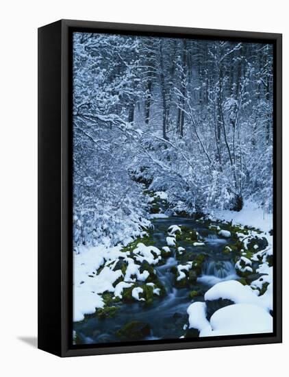 Spring-Fed Creek in Winter, Wasatch-Catch National Forest, Utah, USA-Scott T^ Smith-Framed Stretched Canvas