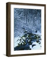 Spring-Fed Creek in Winter, Wasatch-Catch National Forest, Utah, USA-Scott T^ Smith-Framed Photographic Print