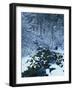 Spring-Fed Creek in Winter, Wasatch-Catch National Forest, Utah, USA-Scott T^ Smith-Framed Photographic Print