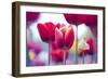 Spring Feeling-Incredi-Framed Giclee Print