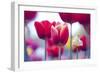 Spring Feeling-Incredi-Framed Giclee Print