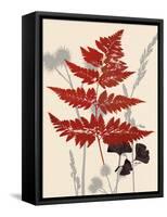 Spring Fern 1-Bella Dos Santos-Framed Stretched Canvas