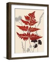 Spring Fern 1-Bella Dos Santos-Framed Art Print