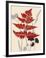 Spring Fern 1-Bella Dos Santos-Framed Art Print