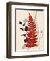 Spring Fern 2-Bella Dos Santos-Framed Art Print