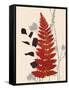 Spring Fern 2-Bella Dos Santos-Framed Stretched Canvas