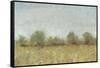 Spring Field I-Tim OToole-Framed Stretched Canvas