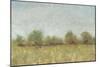 Spring Field I-Tim OToole-Mounted Art Print