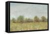 Spring Field I-Tim OToole-Framed Stretched Canvas