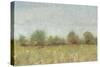 Spring Field I-Tim OToole-Stretched Canvas