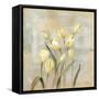 Spring Field II Neutral-Silvia Vassileva-Framed Stretched Canvas