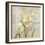 Spring Field II Neutral-Silvia Vassileva-Framed Art Print