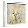 Spring Field II Neutral-Silvia Vassileva-Framed Art Print