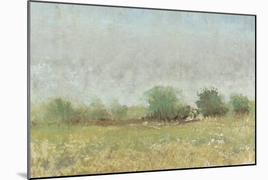 Spring Field II-Tim OToole-Mounted Premium Giclee Print