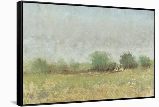 Spring Field II-Tim OToole-Framed Stretched Canvas