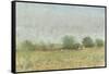 Spring Field II-Tim OToole-Framed Stretched Canvas