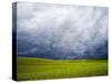 Spring Field of Peas with Storm Coming-Terry Eggers-Stretched Canvas