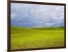 Spring Field of Peas with Storm Coming-Terry Eggers-Framed Photographic Print