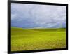 Spring Field of Peas with Storm Coming-Terry Eggers-Framed Photographic Print