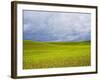 Spring Field of Peas with Storm Coming-Terry Eggers-Framed Photographic Print