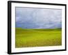 Spring Field of Peas with Storm Coming-Terry Eggers-Framed Photographic Print