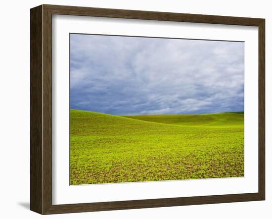 Spring Field of Peas with Storm Coming-Terry Eggers-Framed Photographic Print