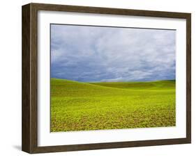 Spring Field of Peas with Storm Coming-Terry Eggers-Framed Photographic Print