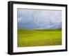 Spring Field of Peas with Storm Coming-Terry Eggers-Framed Photographic Print