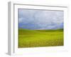 Spring Field of Peas with Storm Coming-Terry Eggers-Framed Photographic Print