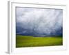 Spring Field of Peas with Storm Coming-Terry Eggers-Framed Photographic Print