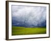 Spring Field of Peas with Storm Coming-Terry Eggers-Framed Photographic Print