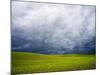 Spring Field of Peas with Storm Coming-Terry Eggers-Mounted Photographic Print