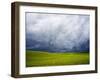 Spring Field of Peas with Storm Coming-Terry Eggers-Framed Photographic Print