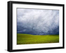 Spring Field of Peas with Storm Coming-Terry Eggers-Framed Photographic Print