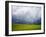 Spring Field of Peas with Storm Coming-Terry Eggers-Framed Photographic Print