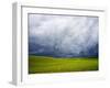 Spring Field of Peas with Storm Coming-Terry Eggers-Framed Photographic Print