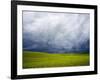 Spring Field of Peas with Storm Coming-Terry Eggers-Framed Photographic Print