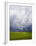 Spring Field of Peas with Storm Coming-Terry Eggers-Framed Photographic Print