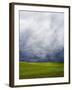 Spring Field of Peas with Storm Coming-Terry Eggers-Framed Photographic Print