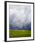 Spring Field of Peas with Storm Coming-Terry Eggers-Framed Photographic Print