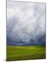 Spring Field of Peas with Storm Coming-Terry Eggers-Mounted Photographic Print