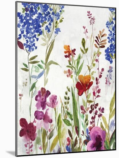 Spring Field-Asia Jensen-Mounted Art Print